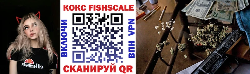 купить наркоту  Суоярви  Cocaine FishScale 