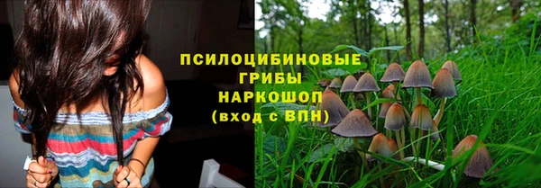 таблы Осинники