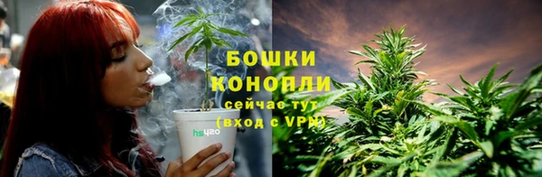 apvp Остров