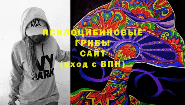 таблы Осинники