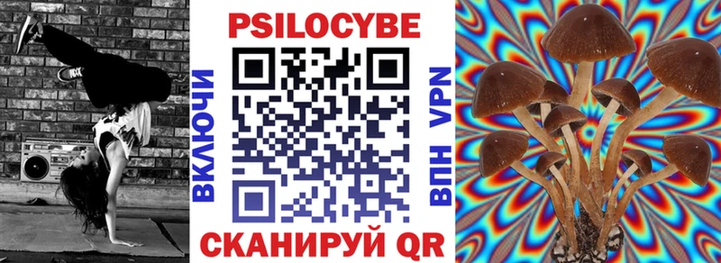 Псилоцибиновые грибы MAGIC MUSHROOMS  продажа наркотиков  Суоярви 